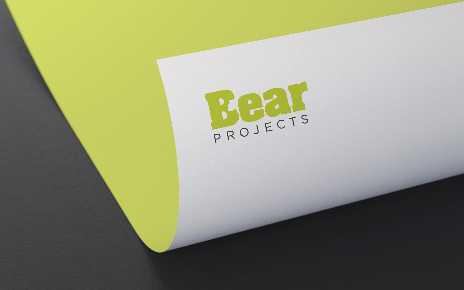Bear Projects branding logo design letterhead